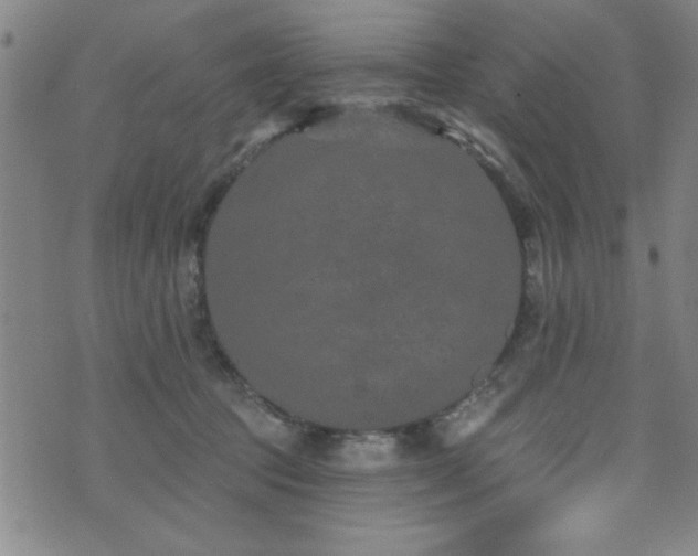 X0000072940369200607211108