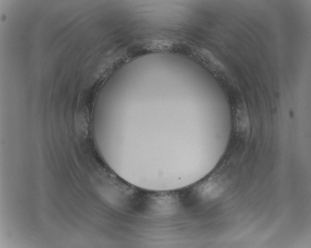 X0000072940370200607211108