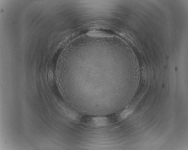 X0000072940371200607211108