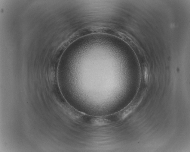 X0000072940372200607211108