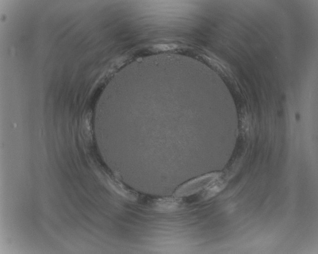 X0000072940373200607211108