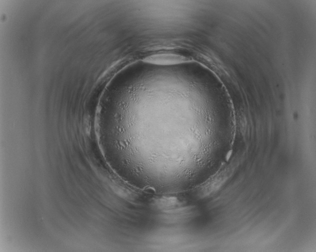 X0000072940374200607211108