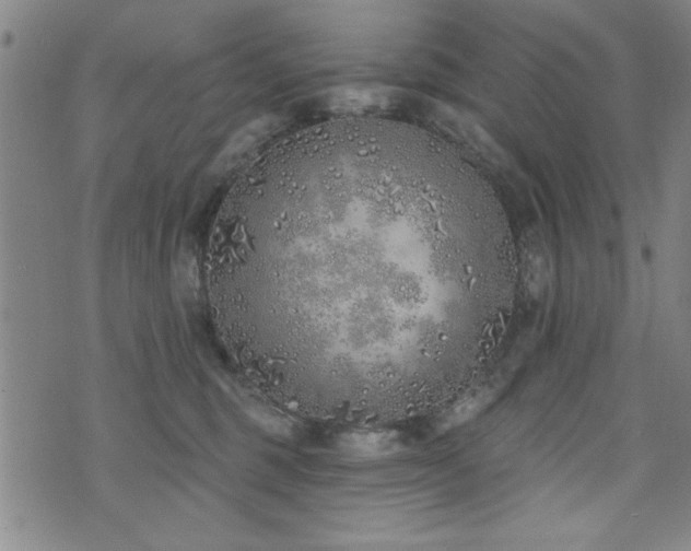 X0000072940375200607211108