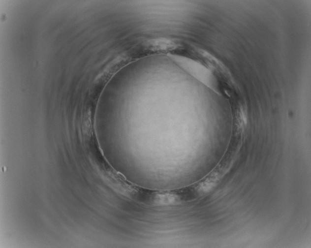 X0000072940376200607211108