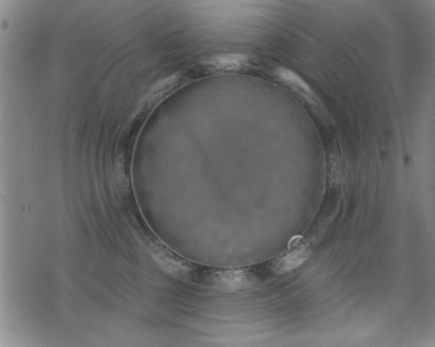 X0000072940377200607211108