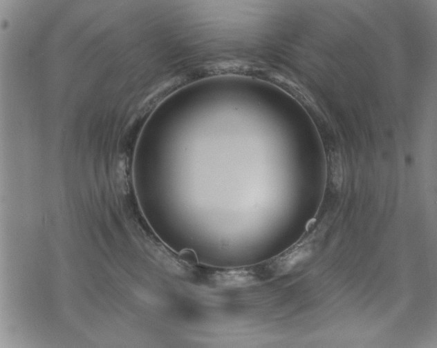 X0000072940378200607211108