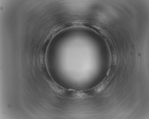 X0000072940379200607211108