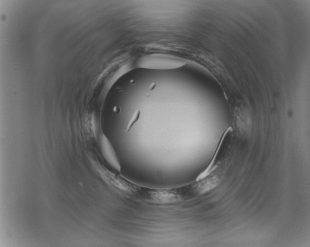 X0000072940380200607211108