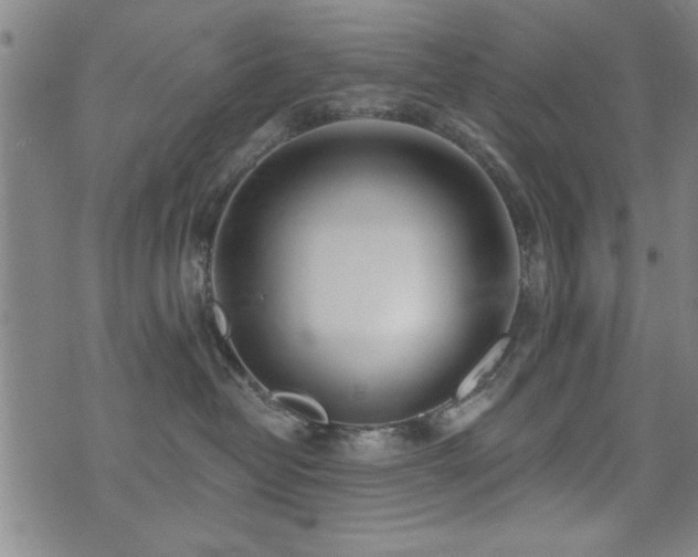 X0000072940382200607211108