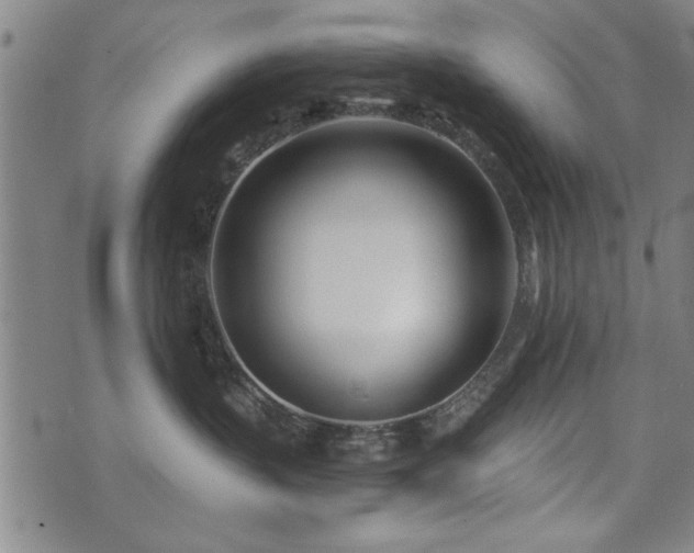 X0000072940383200607211108