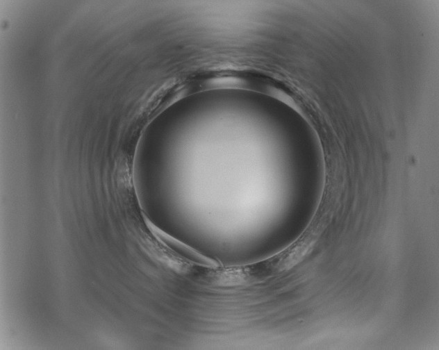 X0000072940384200607211108