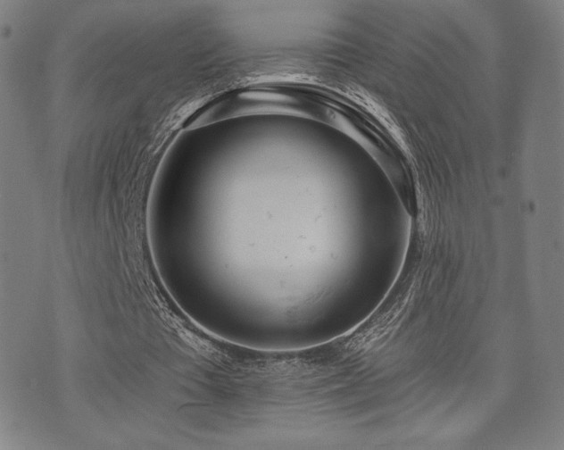 X0000072940385200607211107