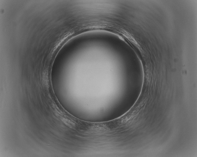 X0000072940386200607211107