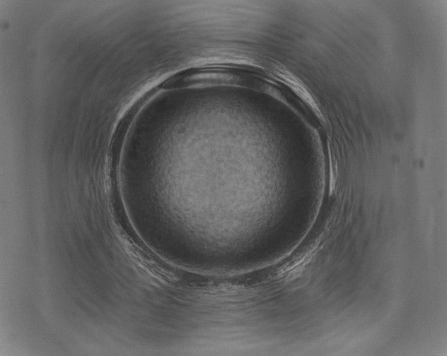 X0000072940387200607211107