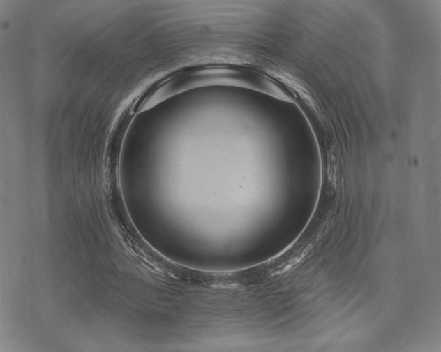 X0000072940388200607211107