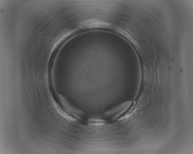 X0000072940391200607211107