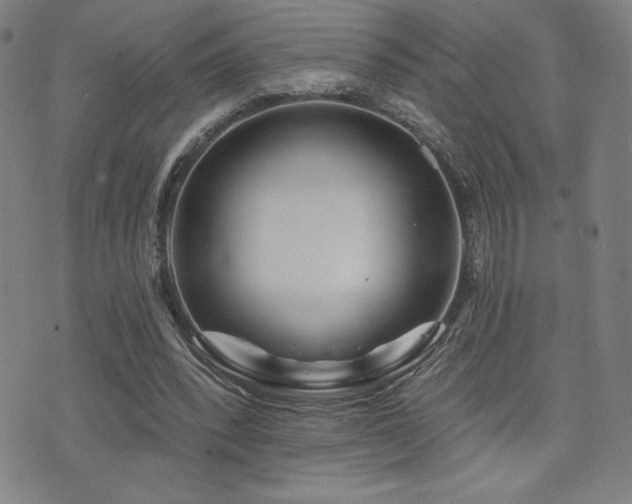 X0000072940392200607211107