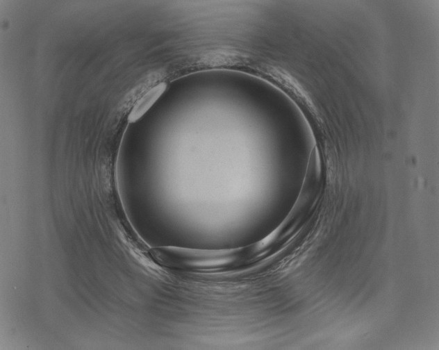 X0000072940393200607211107