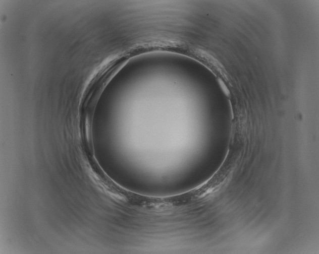 X0000072940395200607211107