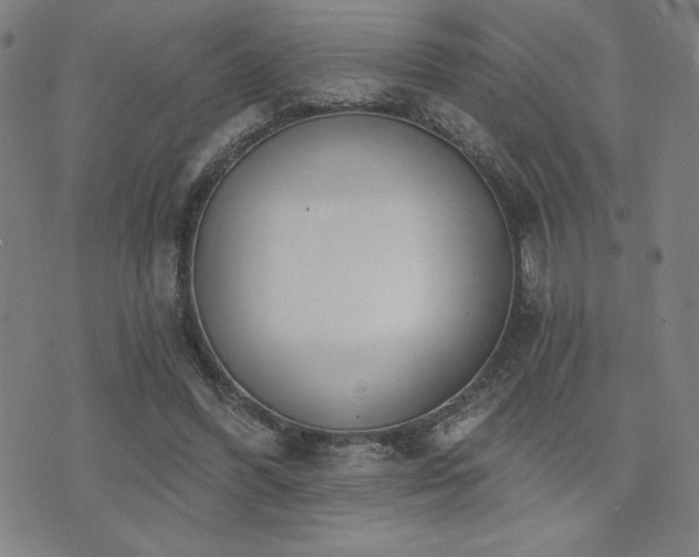 X0000072940396200607211107