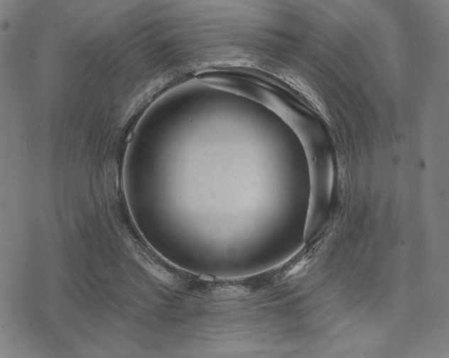 X0000072940397200607211107