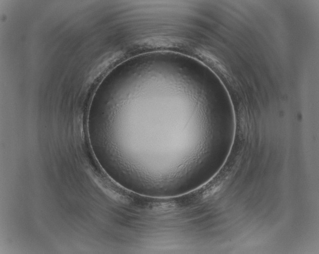 X0000072940398200607211107