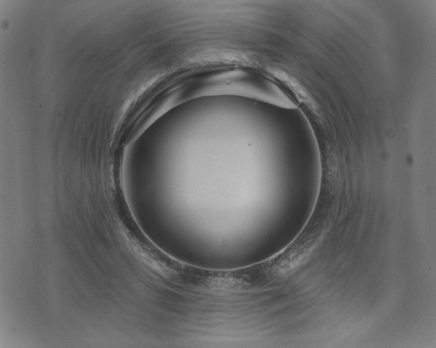 X0000072940399200607211107