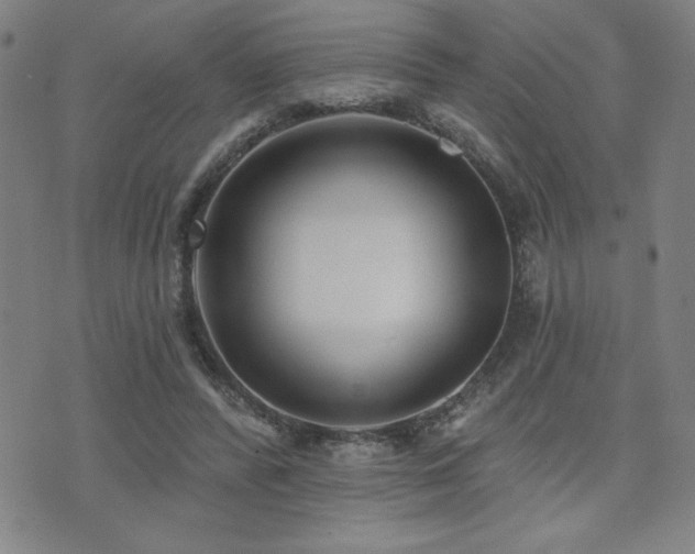 X0000072940400200607211107