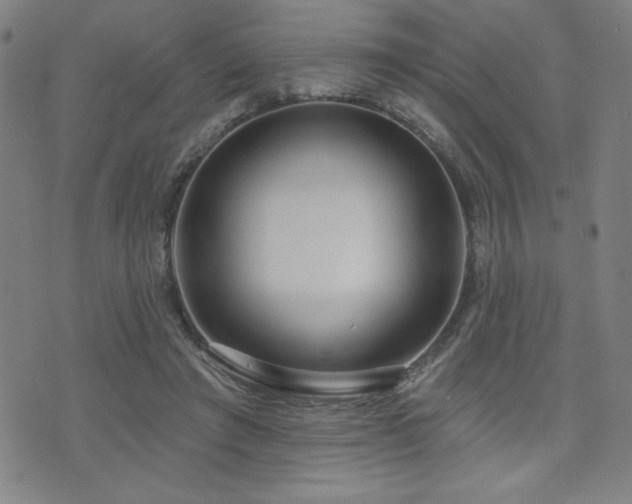 X0000072940401200607211107