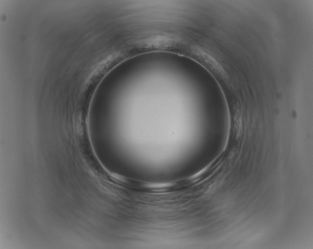 X0000072940403200607211107