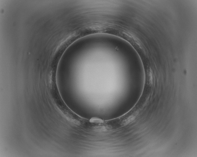 X0000072940404200607211107