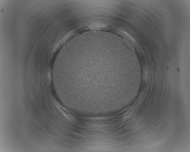 X0000072940405200607211107