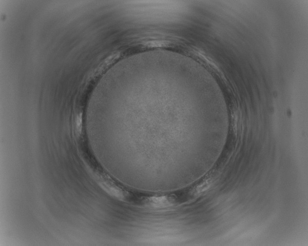 X0000072940406200607211107