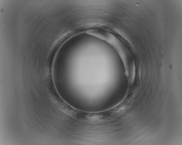 X0000072940407200607211107