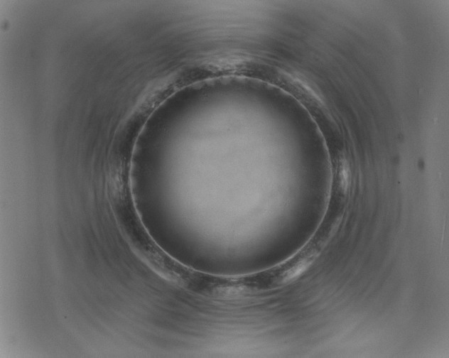 X0000072940408200607211107