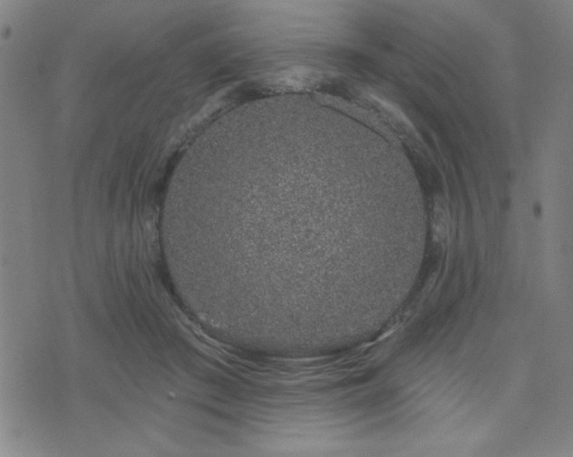 X0000072940409200607211107