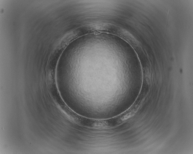 X0000072940410200607211107