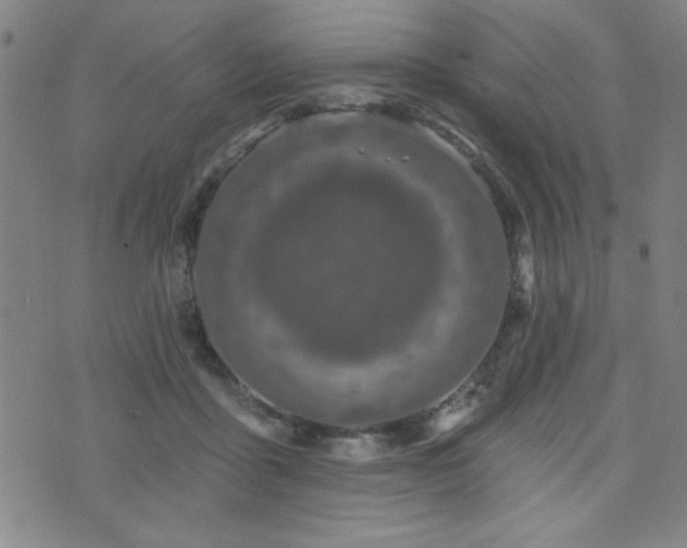 X0000072940411200607211107