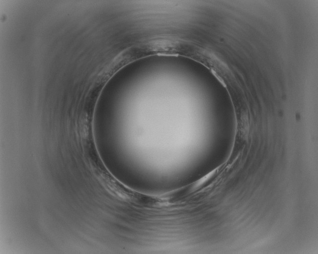 X0000072940413200607211107