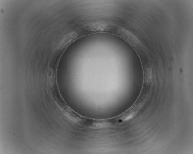 X0000072940414200607211106