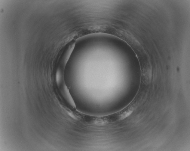 X0000072940416200607211106