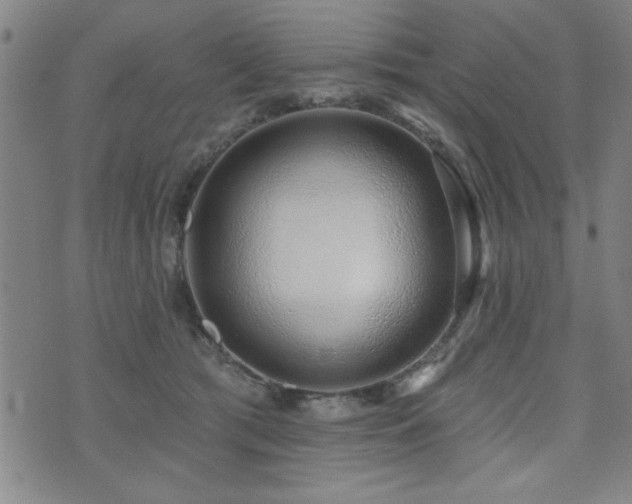 X0000072940417200607211106