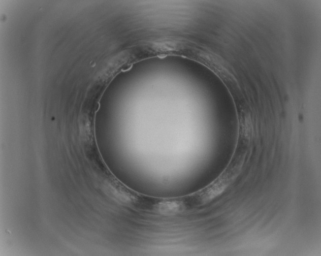 X0000072940418200607211106