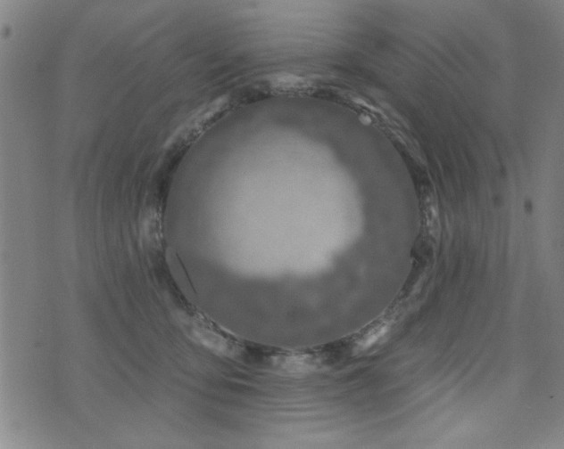 X0000072940419200607211106