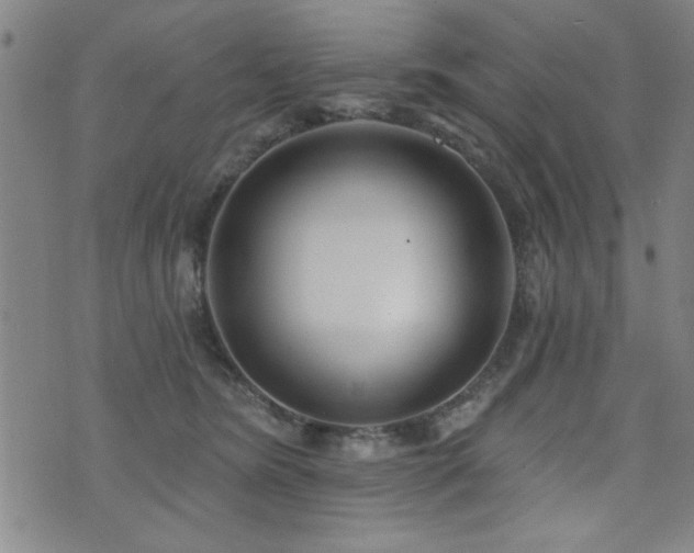 X0000072940420200607211106