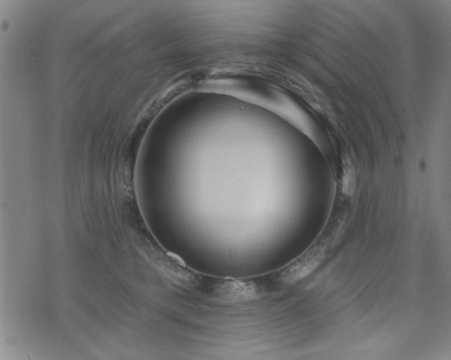 X0000072940421200607211106