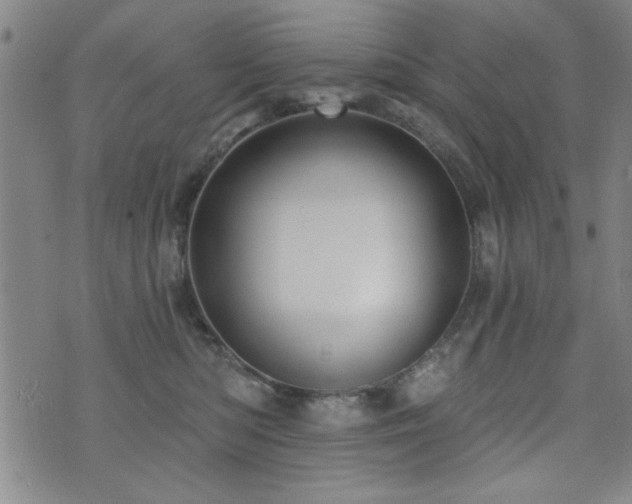 X0000072940422200607211106