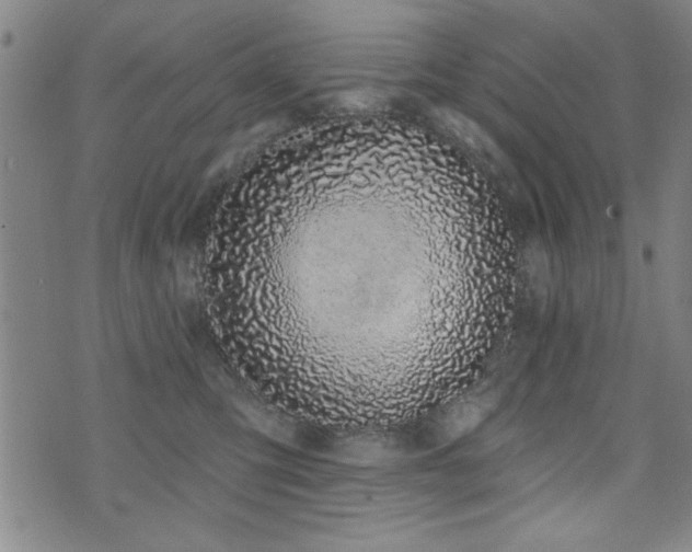 X0000072940423200607211106