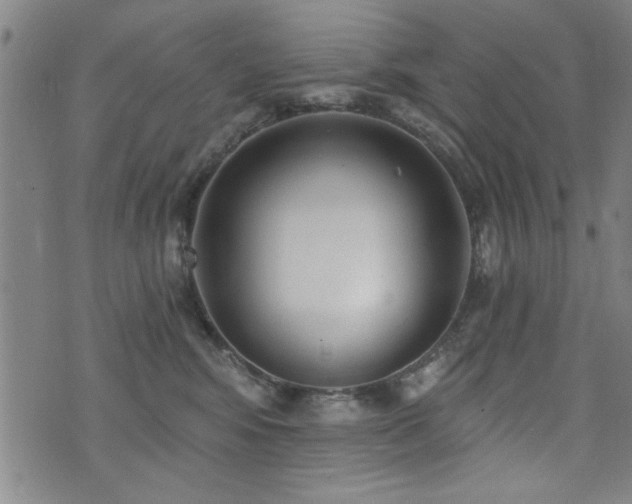 X0000072940424200607211106