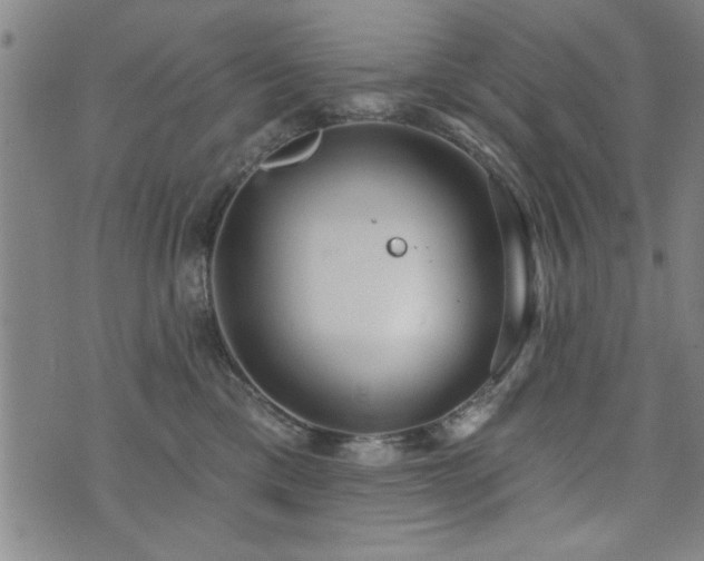 X0000072940425200607211106